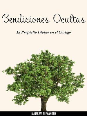 cover image of Bendiciones Ocultas El Propósito Divino en el Castigo